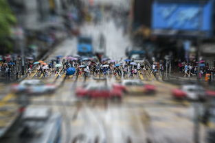 关于上海市人才引进条件相关关键词有哪些