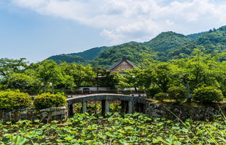 盘点上海游山玩水的景区推荐作文相关关键词有哪些