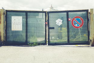 盘点上海科技大学本科生招生网相关关键词有哪些