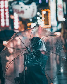 关于上海今天有雨没有雨相关关键词有哪些