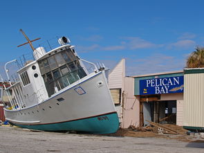关于上海地震过吗相关关键词有哪些