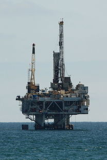 盘点上海原油期货行情实时行情相关关键词有哪些