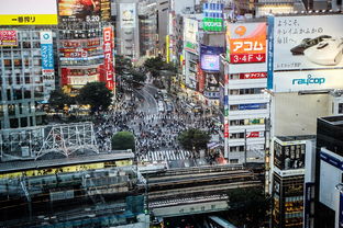 盘点上海儿童一日游必去景点有哪些呢相关关键词有哪些