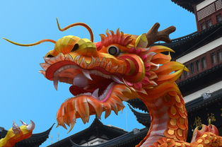 盘点上海鼎龙相关关键词有哪些