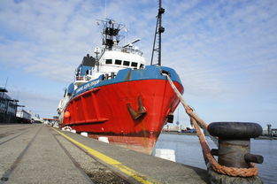 关于上海 空气质量相关关键词有哪些