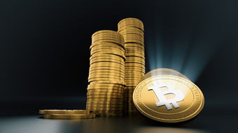 盘点上海金融信息中心相关关键词有哪些