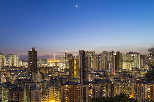 盘点中金公司上海分公司相关关键词有哪些