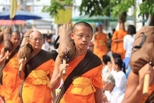 关于暑假上海迪士尼人多吗相关关键词有哪些