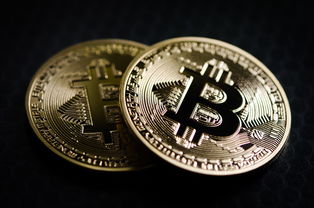 盘点上海财经大学金融专硕学费全曰制相关关键词有哪些