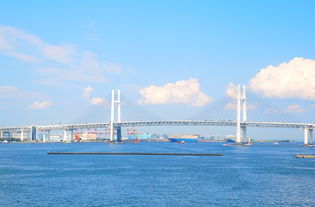 盘点上海2日游经典路线相关关键词有哪些