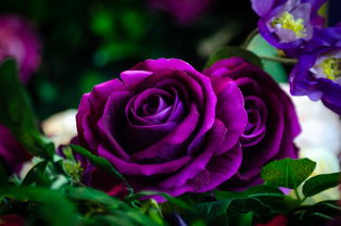 盘点上海奉贤区教育局相关关键词有哪些 盘点上海奉贤区教育局相关关键词有哪些