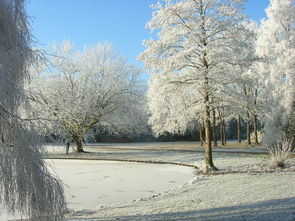 盘点上海属于南方还是北方相关关键词有哪些