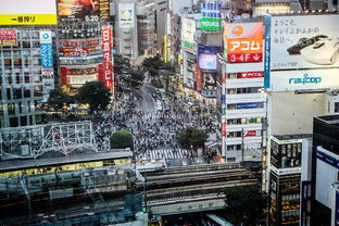 关于上海一日游游玩攻略图片相关关键词有哪些