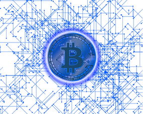 盘点上海财经大学专硕专业目录相关关键词有哪些
