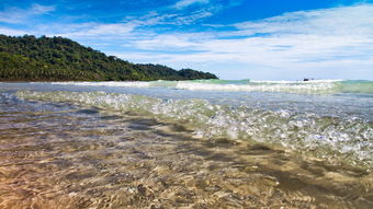 关于上海气候怎么样相关关键词有哪些