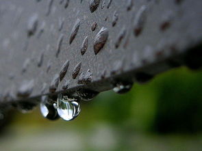 关于上海天气今天会不会下雨相关关键词有哪些
