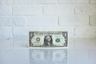 盘点上海财经大学金融学研究生学费多少相关关键词有哪些