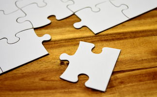 盘点上海生育基金相关关键词有哪些