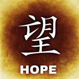 关于上海文字图片相关关键词有哪些