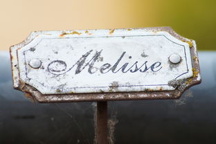 盘点上海老品牌相关关键词有哪些