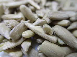 关于上海老馄饨相关关键词有哪些