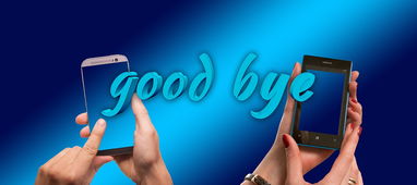 盘点上海天气七天预报最新查询百度相关关键词有哪些