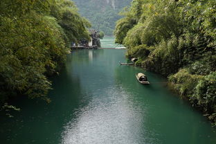盘点上海辰山植物园必看景点有哪些相关关键词有哪些