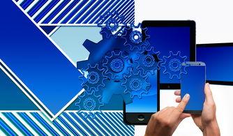 关于上海财经大学研招网电话相关关键词有哪些 关于上海财经大学研招网电话相关关键词有哪些