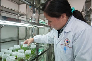 关于上海海洋大学研究生招生网调剂相关关键词有哪些