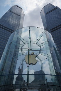 关于上海网络维护相关关键词有哪些