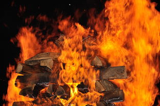 盘点上海火相关关键词有哪些