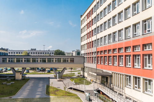 盘点上海民办大学有哪些学校相关关键词有哪些