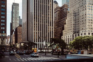 盘点上海物业管理费相关关键词有哪些