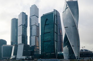 关于上海市金融办主任相关关键词有哪些