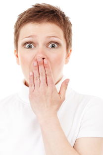 盘点上海登革热最新疫情相关关键词有哪些 盘点上海登革热最新疫情相关关键词有哪些