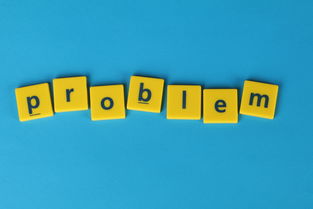 关于上海天气40天查询结果相关关键词有哪些