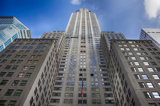 盘点上海有多大的面积相关关键词有哪些