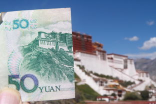 盘点2020年5月上海天气预报15天相关关键词有哪些
