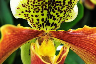 盘点上海真兰相关关键词有哪些