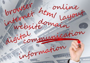 关于上海企业信用信息网相关关键词有哪些 关于上海企业信用信息网相关关键词有哪些