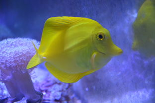 关于上海海洋水族馆怎么样相关关键词有哪些