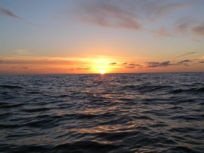 盘点8月9日上海天气相关关键词有哪些