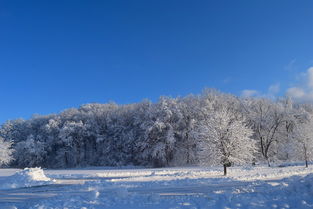 关于上海雪湖科技相关关键词有哪些