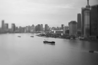 关于上海明珠塔说明文300字相关关键词有哪些