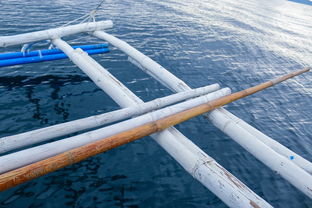 关于上海重工相关关键词有哪些