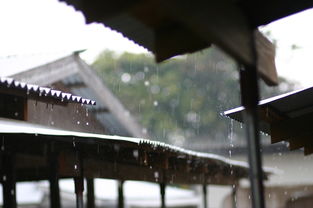 盘点上海天气下雨多相关关键词有哪些