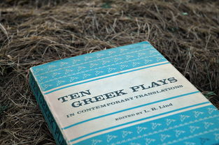 关于上海有哪些大学美术类考生可以报考相关关键词有哪些