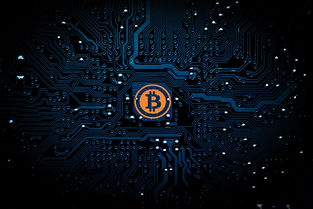 盘点上海区块链相关关键词有哪些