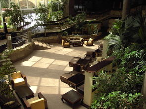 关于桐画酒店(上海国际旅游度假区店)相关关键词有哪些