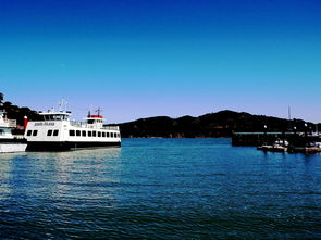 盘点上海海昌海洋公园交通相关关键词有哪些